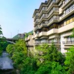 山中温泉 花紫