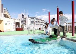 伊豆高原わんわんパラダイスホテル