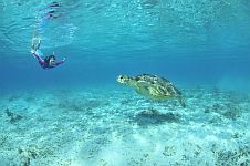 シギラベイサイドスイートアラマンダ