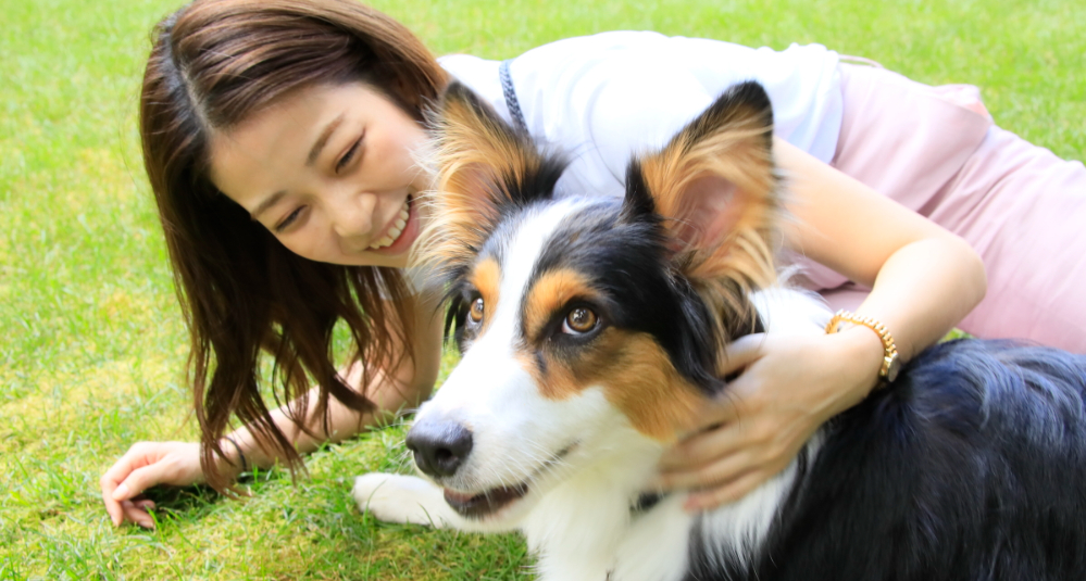 ゆとりろ蓼科withDOGS