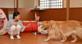 紅葉館 わん泊亭