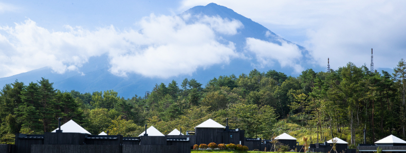 THE SENSE FUJI