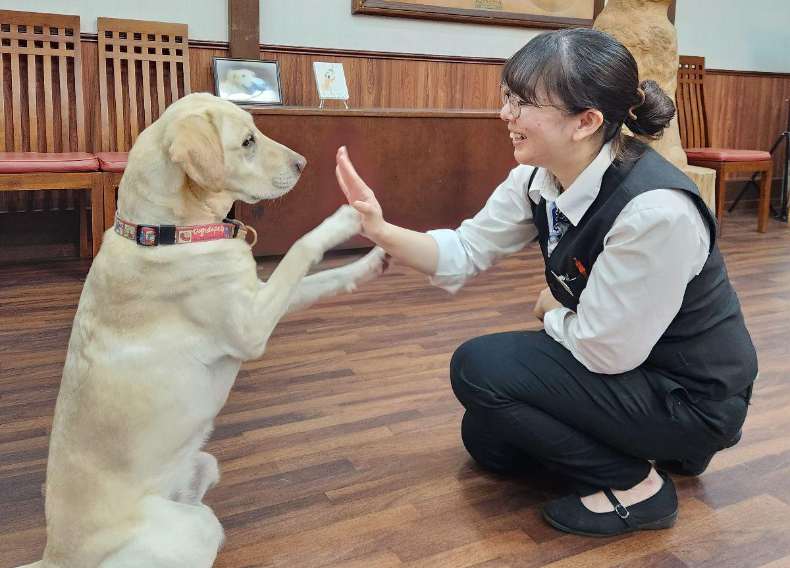 高山わんわんパラダイスホテル＆コテージ