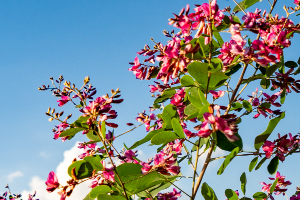 軽井沢天空ホテル＆リゾート