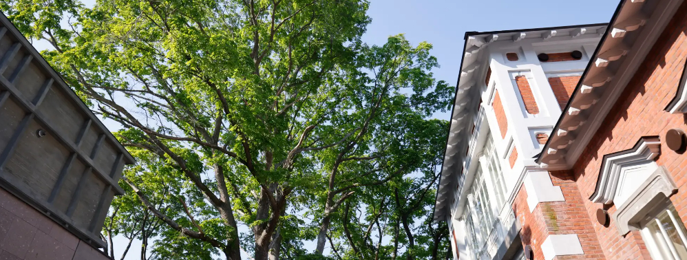 HOTEL白林HAKODATE