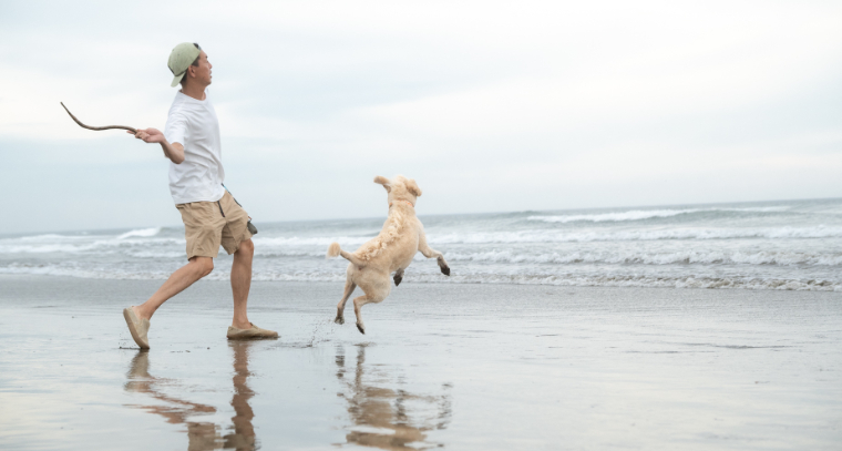 ドッグコテージ 海の音 
