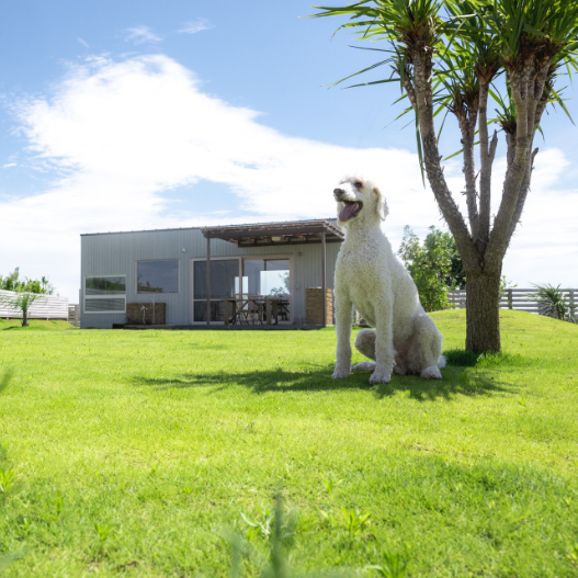 ドッグコテージ 海の音 