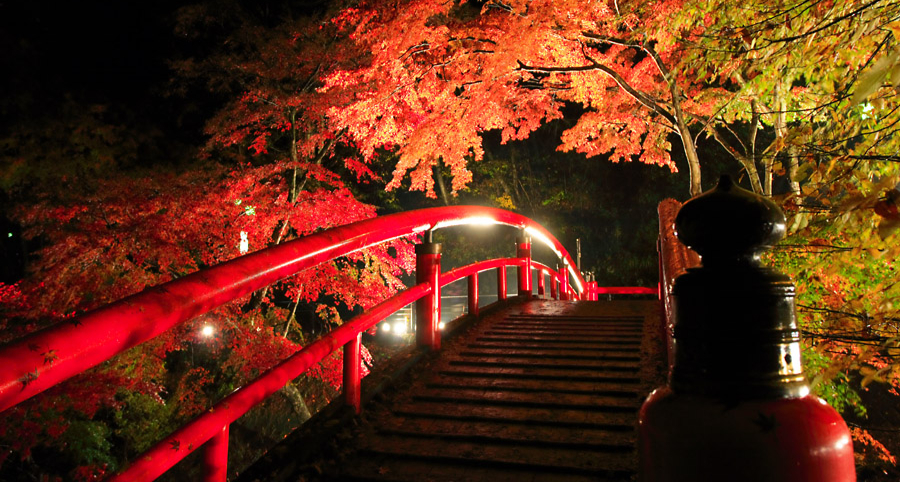 景風流の宿かのうや