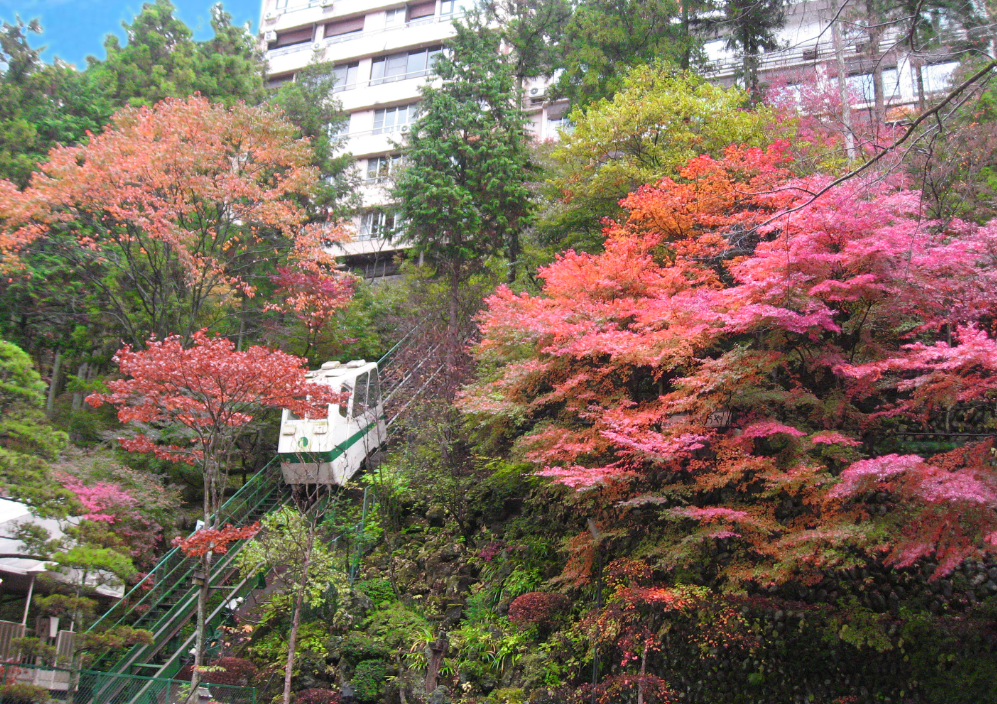景風流の宿かのうや