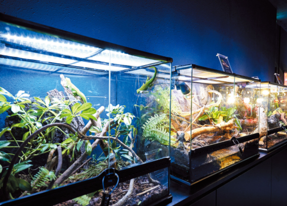 DMM かりゆし水族館