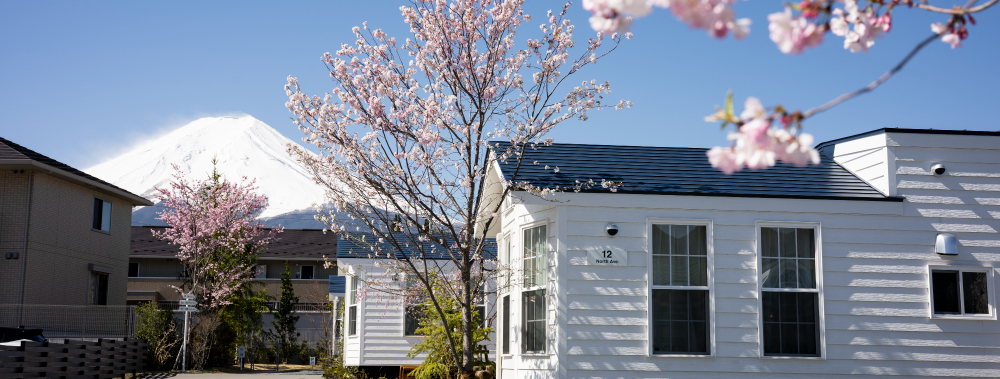 イン・ザ・富士