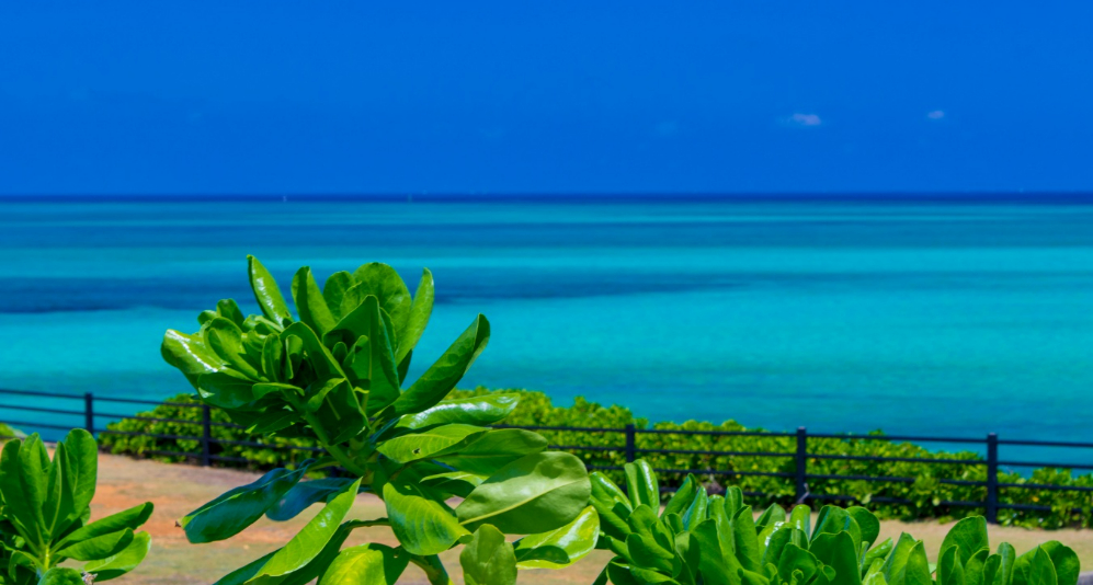 ホテルモントレ ラ・スール那覇