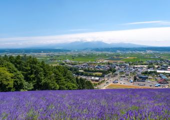 JALオーベルジュ富良野（仮称）