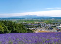 JALオーベルジュ富良野(仮称)