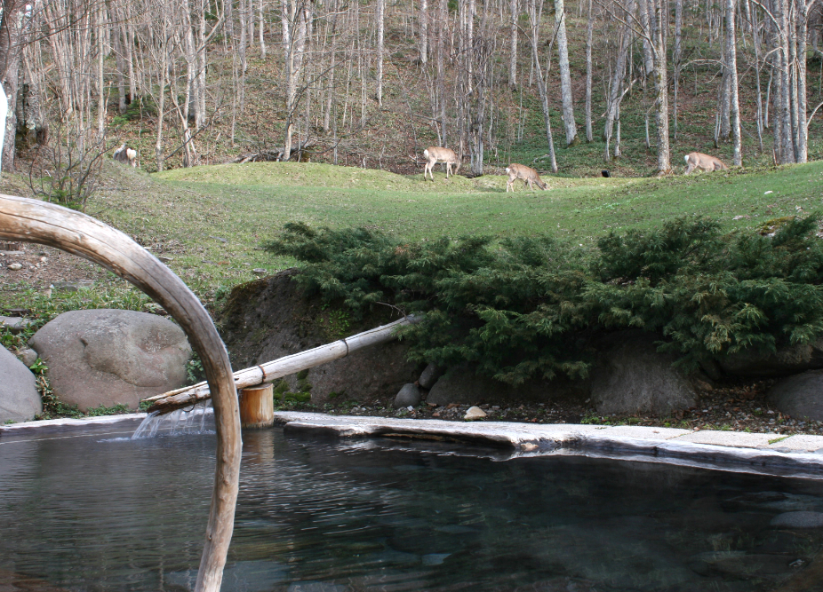 糠平温泉中村屋