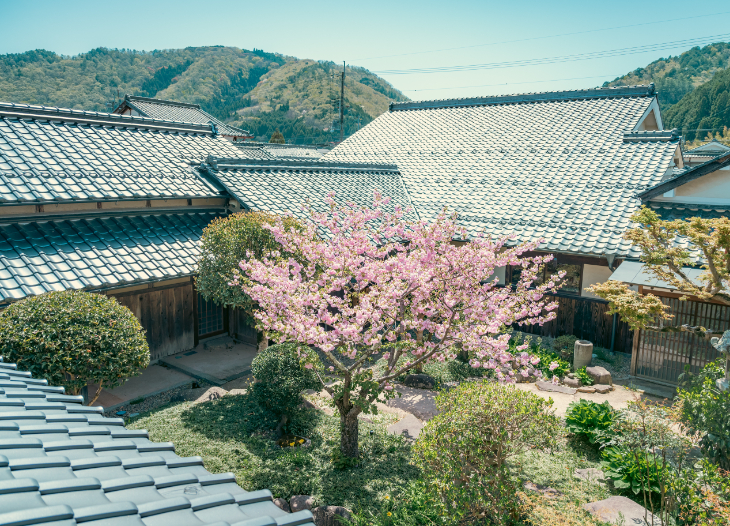 NIPPONIAオペレーションズ（仮称）