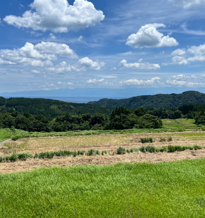 WEAZER氷見（仮称）