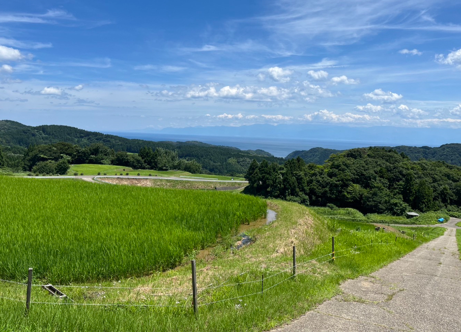 WEAZER氷見（仮称）