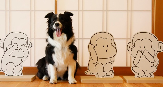 ゆるり奥日光withDOGS