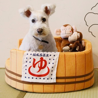 ゆるり奥日光withDOGS