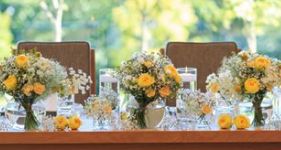 AMANDAN SKY(アマンダンスカイ)